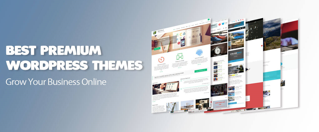 best-premium-wordpress-themes