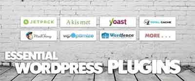 Click image for larger version

Name:	wordpress-plugins.jpg
Views:	38
Size:	17.3 KB
ID:	682